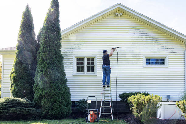 Best Patio and Deck Pressure Washing  in White Sands, NM